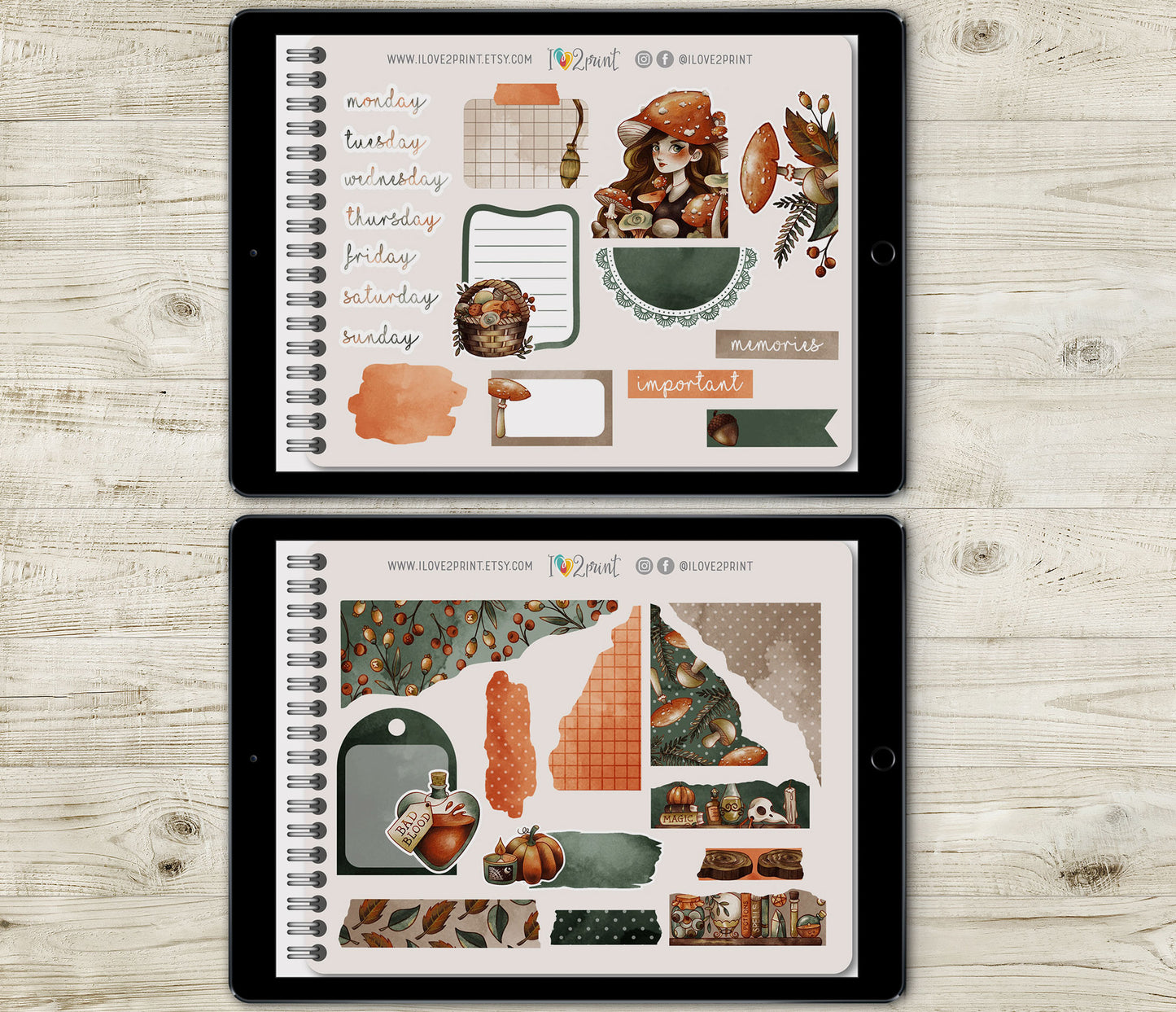 Fall Witch Decorative Stickers - Pre-Cropped GoodNotes Digital Sticker Book