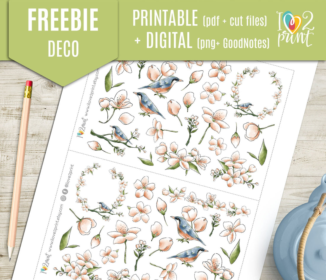 Free Spring Birds Planner Stickers: Watercolor Birds & Blossoming Branches