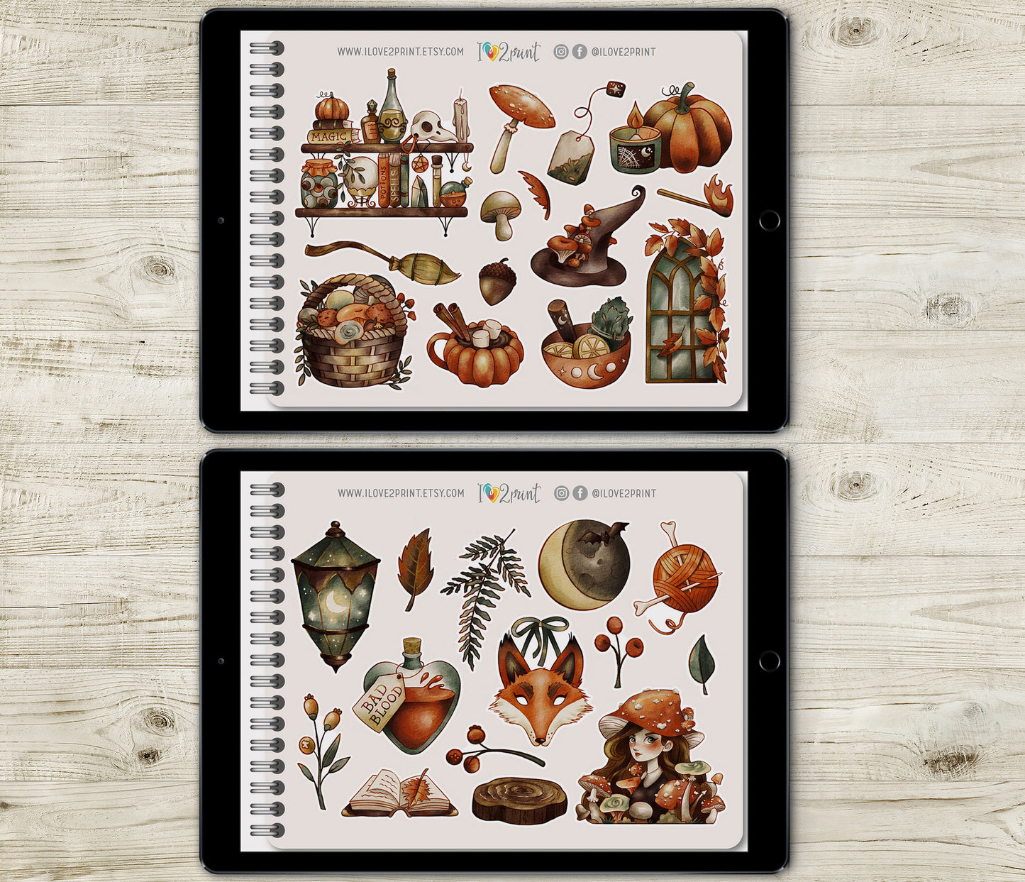 Fall Witch Decorative Stickers - Pre-Cropped GoodNotes Digital Sticker Book