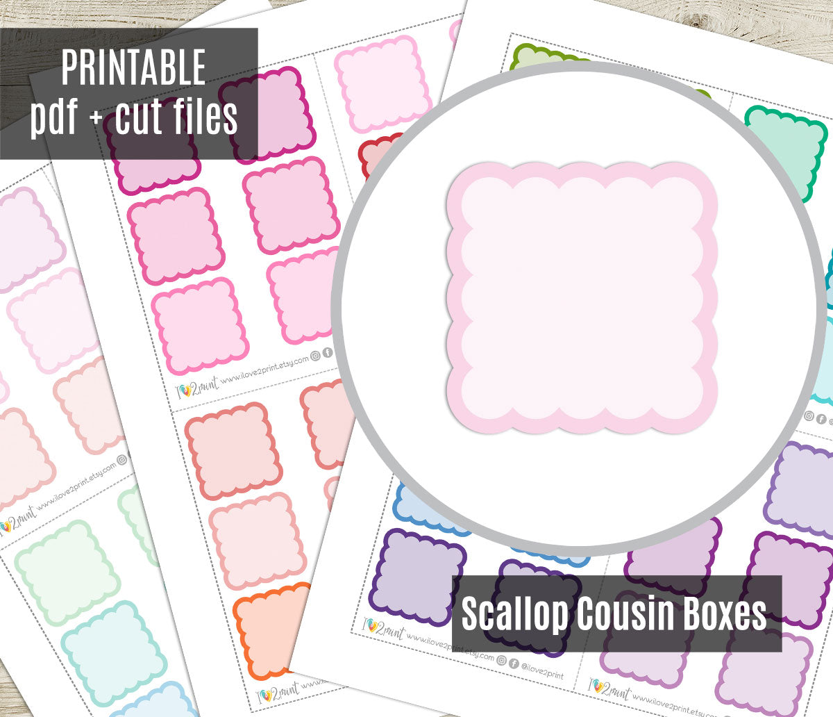 Scallop cousin boxes with pink design on a white background