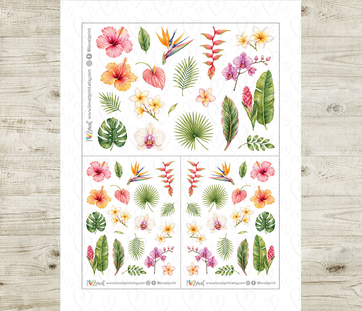 Tropical Flowers Decorative Printable Stickers | Exotic Farewell | PDF Cut Files | Instant Download